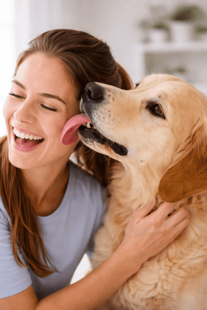 Golden Retriever licking a woman’s ear as a sign of affection during a playful moment at home.